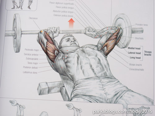 strength training anatomy workout download